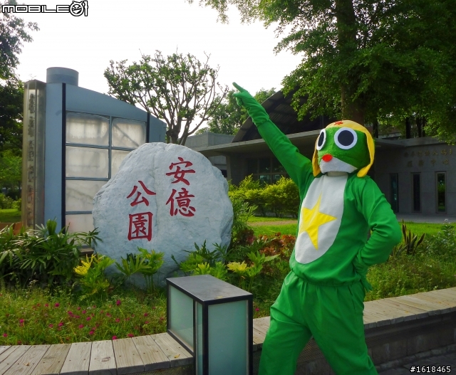肯氏蒲桃採集PK賽,k隆星人也來幫忙