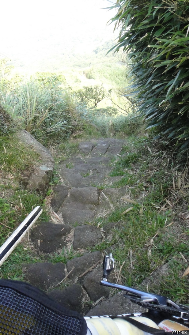 08-28 - 人車合一 冷水坑 - 七星山 - 小油坑 小越嶺