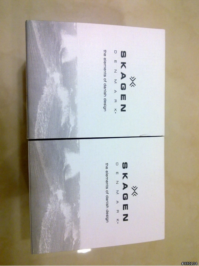 <開箱>Skagen 對錶