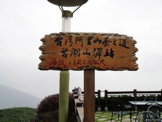 (照片)20100808碧湖山休閒騎