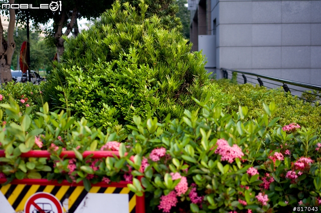 SONY NEX-5、Panaconic GF-1、Pentax k-x 極簡單測試