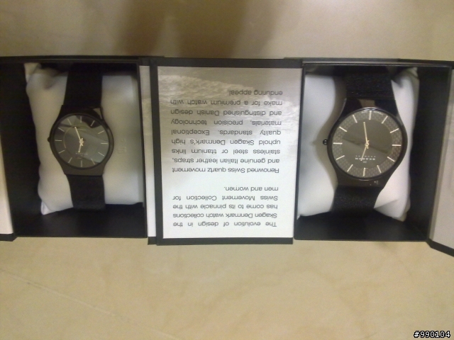 <開箱>Skagen 對錶