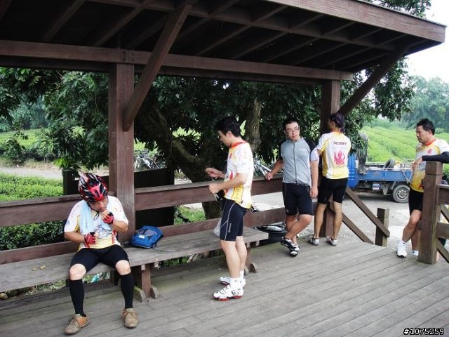 (照片)20100807林內坪頂龍過脈採龍眼行