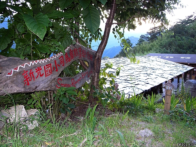 [遊記分享]踩著心靈的踏板~飛向上帝的部落-司馬庫斯