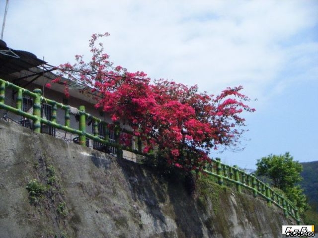 [分享]單日雙北挑戰之旅