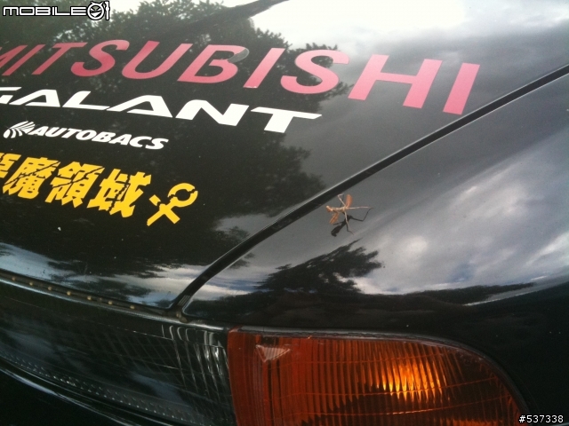 螳螂也是愛.....日系車的