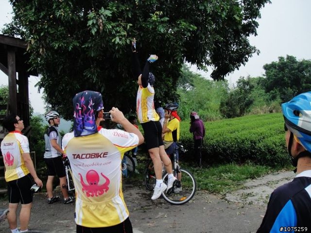 (照片)20100807林內坪頂龍過脈採龍眼行