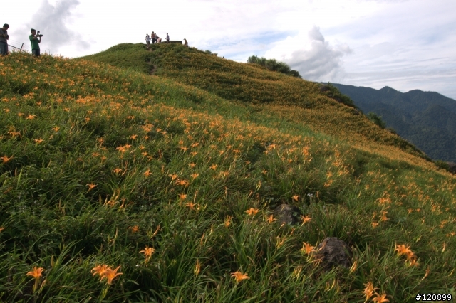 (圖文)990829小白柴的花蓮六十石山一日遊+油耗分享