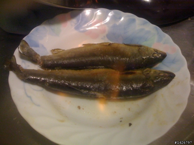 海釣白帶魚+香魚熱燒