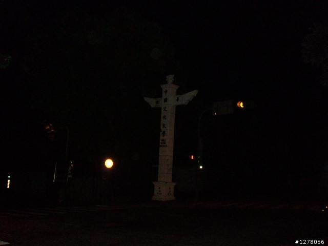 夜騎陽金