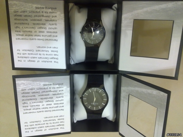 <開箱>Skagen 對錶