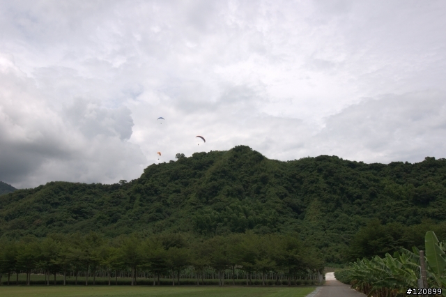 (圖文)990829小白柴的花蓮六十石山一日遊+油耗分享