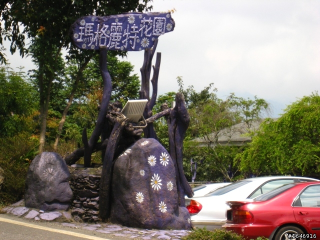 兩橫+蘇花  東進武嶺行