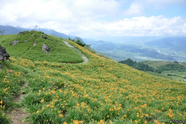 D90超新手 花蓮 六十石山 金針花海 試拍（8.15更新 小環島圖集)