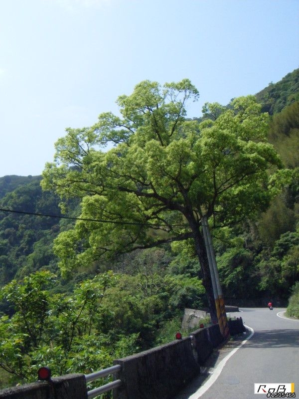 [分享]單日雙北挑戰之旅