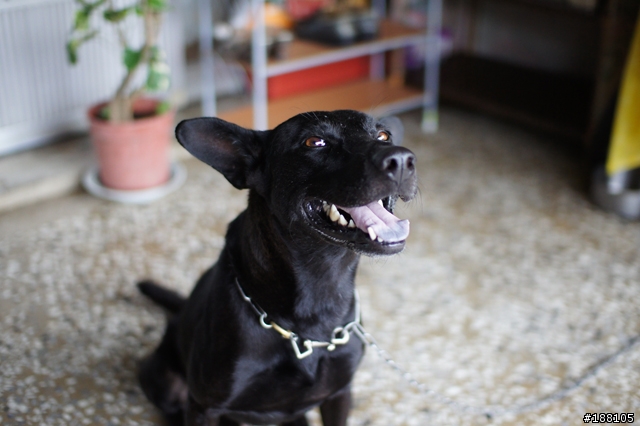 NEX5 + SIGMA 30MM F1.4 測試