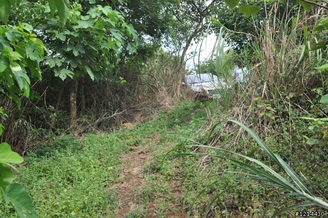 luxgen7suv挑戰極限深度off-road