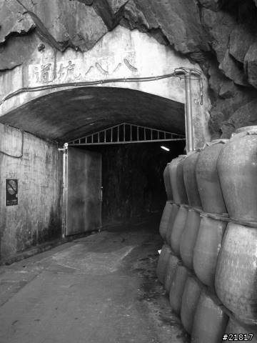 馬祖四島 國之北疆，燕鷗天堂