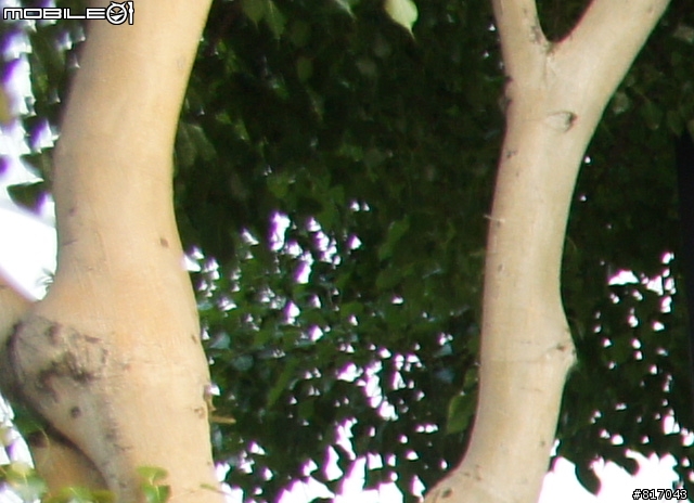 SONY NEX-5、Panaconic GF-1、Pentax k-x 極簡單測試