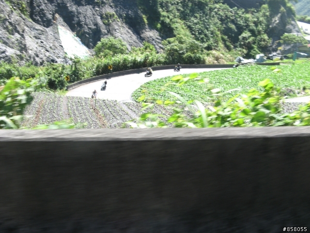 小黃阿鋒盃平安簽到處
