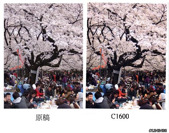 [開箱+評測] 簡單好用的阿Q彩雷 EPSON C1600
