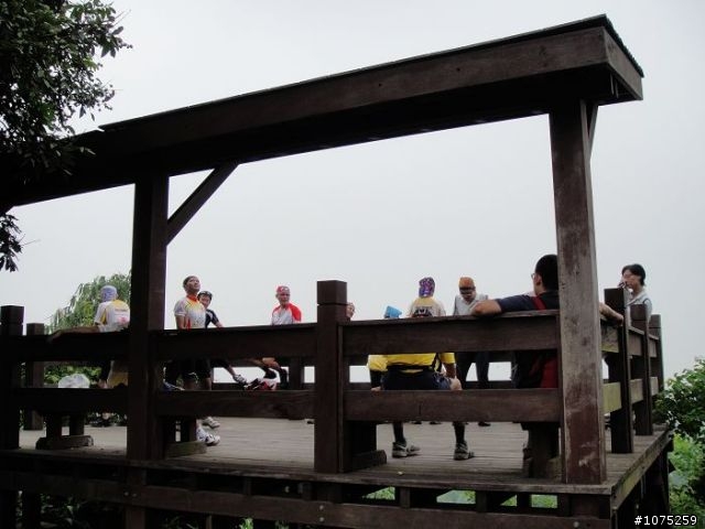 (照片)20100807林內坪頂龍過脈採龍眼行