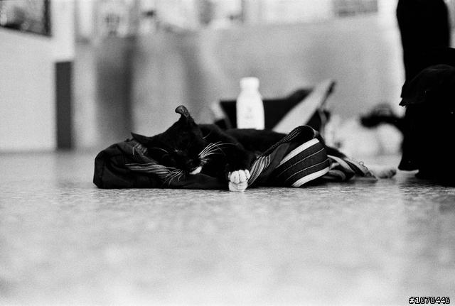 Kodak Tri-X 400 對比與顆粒都這麼強, 正常嗎?