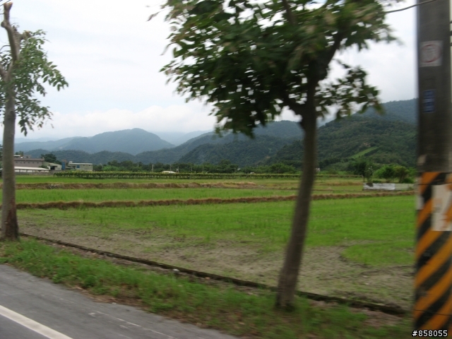小黃阿鋒盃平安簽到處
