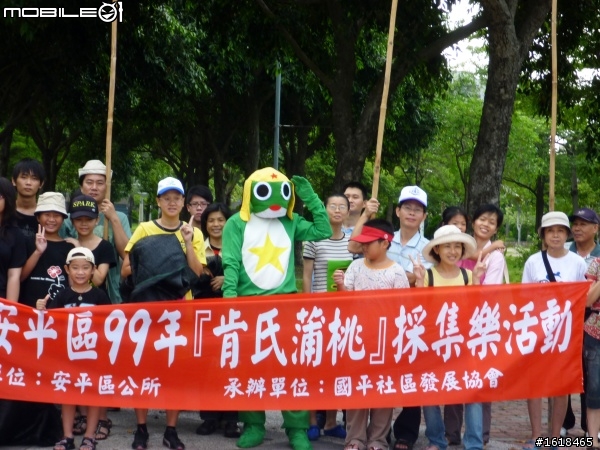 肯氏蒲桃採集PK賽,k隆星人也來幫忙