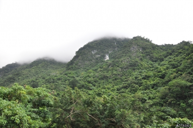 D90超新手 花蓮 六十石山 金針花海 試拍（8.15更新 小環島圖集)