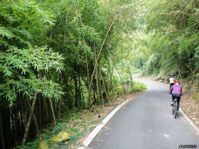 (照片)20100808碧湖山休閒騎