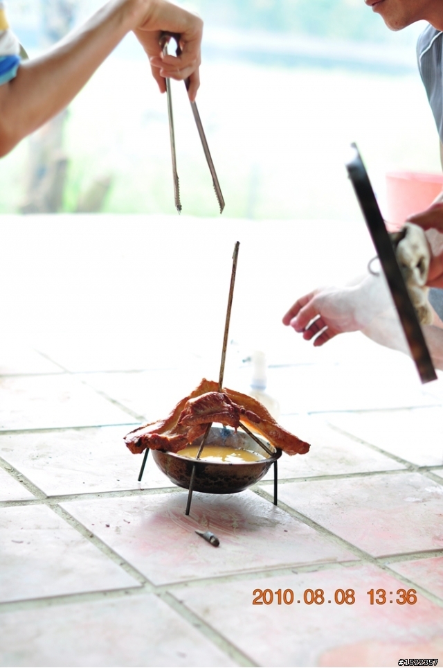 Nikon蓋[食物+寵物]大樓吧