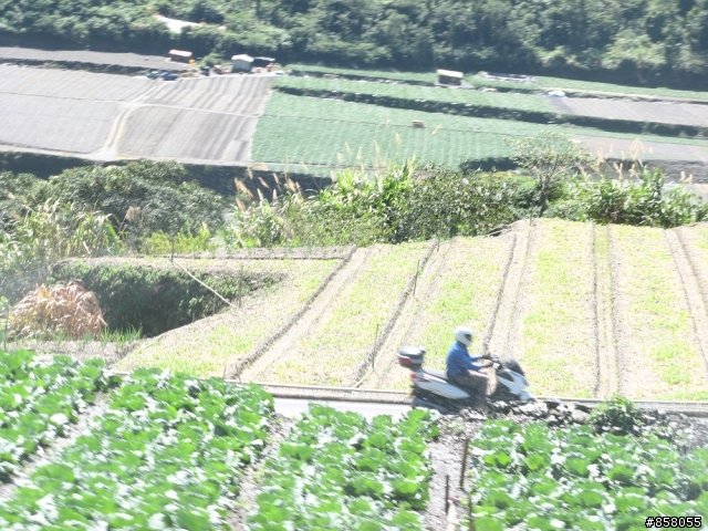 小黃阿鋒盃平安簽到處