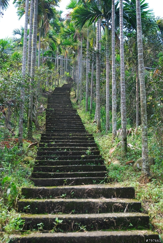 雲林古坑大尖山