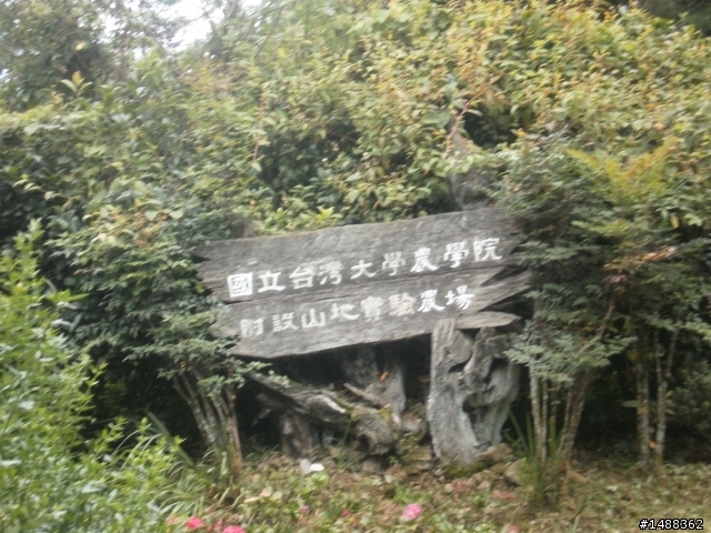 40歲以後說出來一定要做到之我要去武嶺