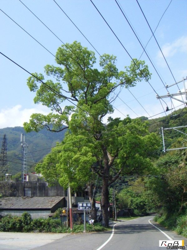 [分享]單日雙北挑戰之旅