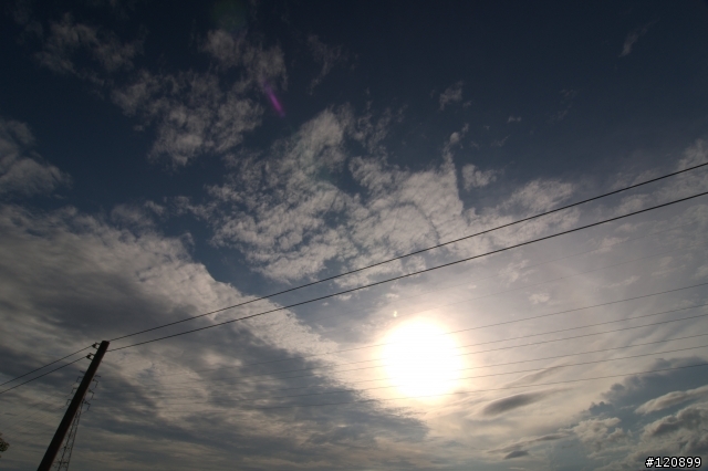 (圖文)990829小白柴的花蓮六十石山一日遊+油耗分享