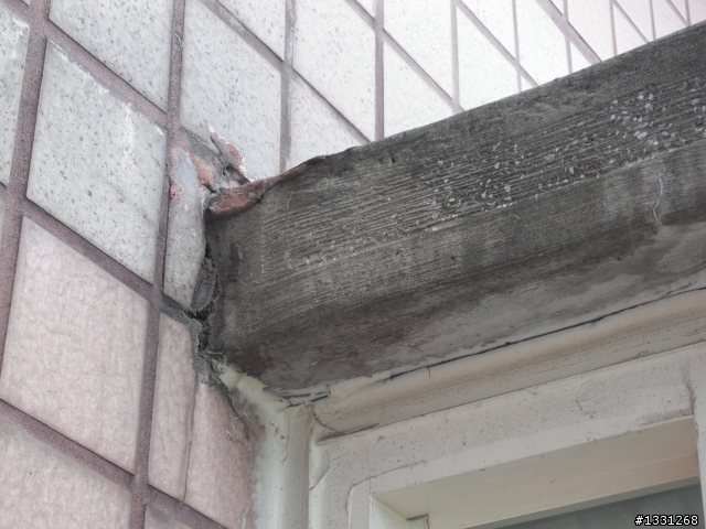 高樓層室內壁癌處理?