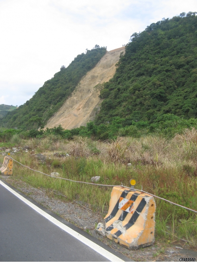 小黃阿鋒盃平安簽到處