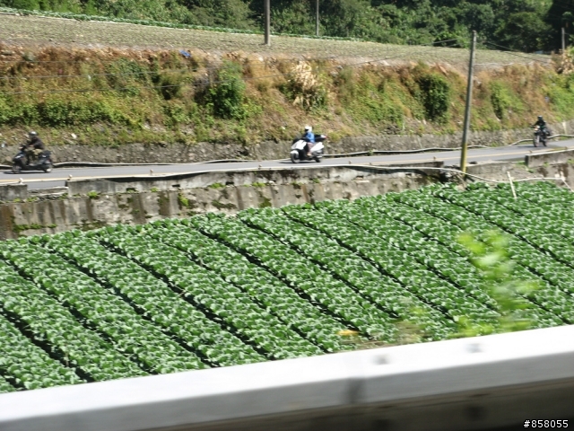 小黃阿鋒盃平安簽到處