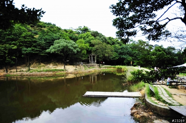帶女王來到汐止新山夢湖...