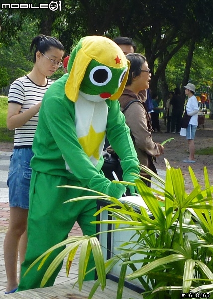 肯氏蒲桃採集PK賽,k隆星人也來幫忙