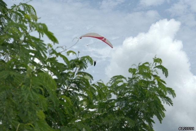 (圖文)990829小白柴的花蓮六十石山一日遊+油耗分享