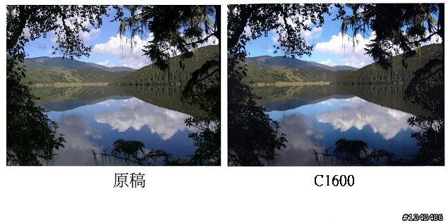 [開箱+評測] 簡單好用的阿Q彩雷 EPSON C1600