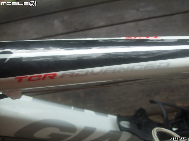 購入二手09'tcr ad0