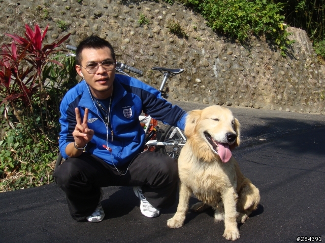 尋狗啟事 黃金獵犬 上禮拜五 (2010/8/6)遺失於大溪番仔寮地區 懸賞5萬元整