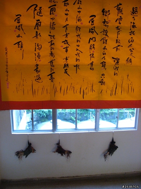 兩橫+蘇花  東進武嶺行