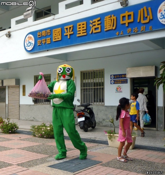 肯氏蒲桃採集PK賽,k隆星人也來幫忙