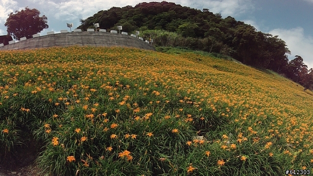 8月21日台東金針山+都蘭山