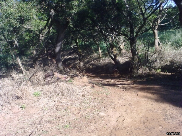 捲毛林道(探路篇)圖多